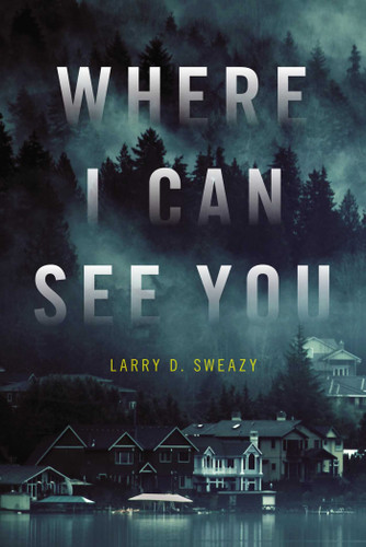 Where I Can See You book cover by Larry D. Sweazy