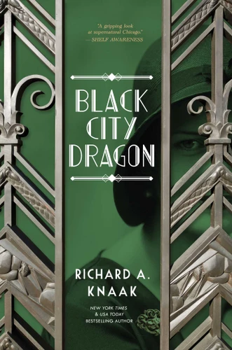 Black City Dragon book cover by Richard A. Knaak