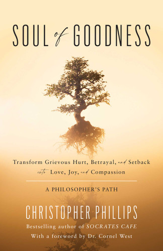 Soul of Goodness: Transform Grievous Hurt, Betrayal, and Setback into Love, Joy, and Compassion book cover by Christopher Phillips