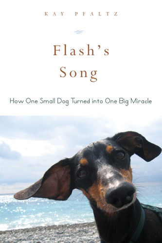 Flash's Song: How One Small Dog Turned into One Big Miracle book cover by Kay Pfaltz