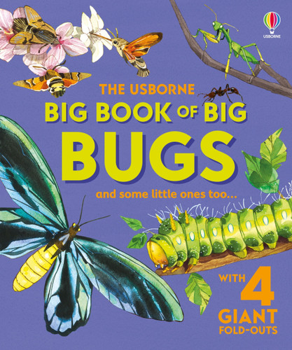 Big Book of Big Bugs (Big Books) book cover by Emily Bone
