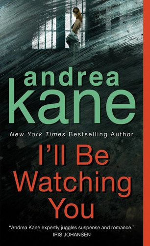 I'll Be Watching You: A Novel book cover by Andrea Kane