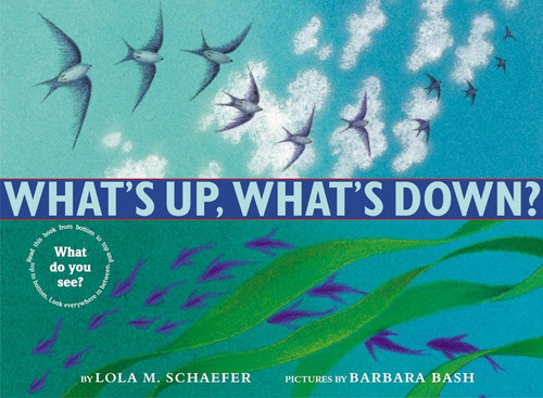 What's Up, What's Down? book cover by Lola M. Schaefer