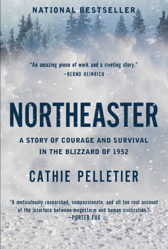 Northeaster: A Story of Courage and Survival in the Blizzard of 1952 book cover by Cathie Pelletier