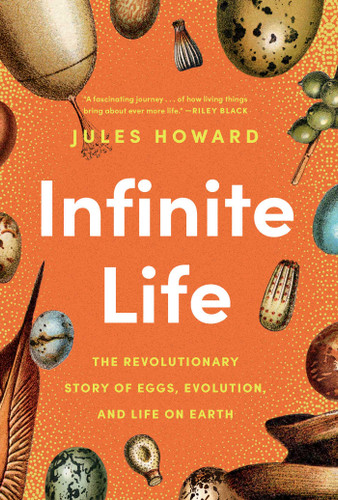 Infinite Life: The Revolutionary Story of Eggs, Evolution, and Life on Earth book cover by Jules Howard