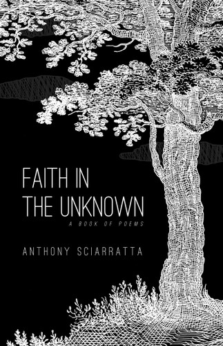 Faith in the Unknown book cover by Anthony Sciarratta