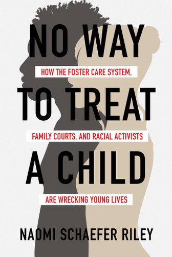 No Way to Treat a Child: How the Foster Care System, Family Courts, and Racial Activists Are Wrecking Young Lives book cover by Naomi Schaefer Riley