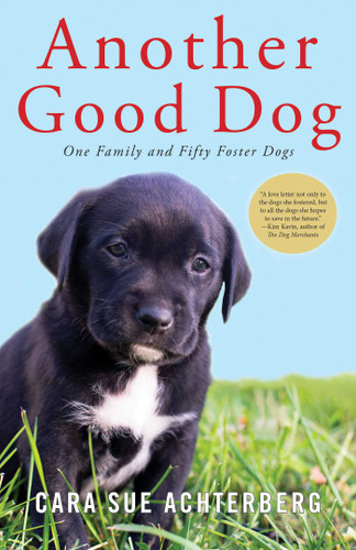 Another Good Dog book cover by Cara Sue Achterberg