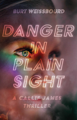 Danger in Plain Sight book cover by Burt  Weissbourd