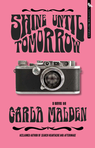 Shine Until Tomorrow book cover by Carla  Malden