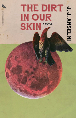 The Dirt in Our Skin book cover by J. J.  Anselmi