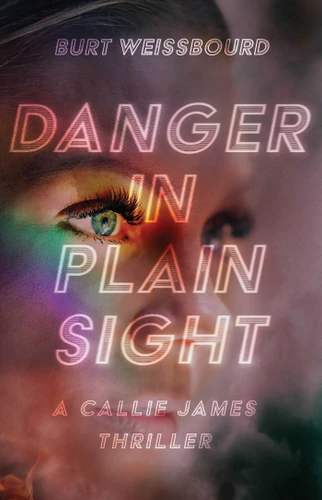 Danger in Plain Sight book cover by Burt  Weissbourd