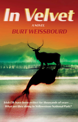 In Velvet book cover by Burt  Weissbourd