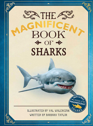 The Magnificent Book of Sharks (The Magnificent Book of) book cover by Barbara Taylor