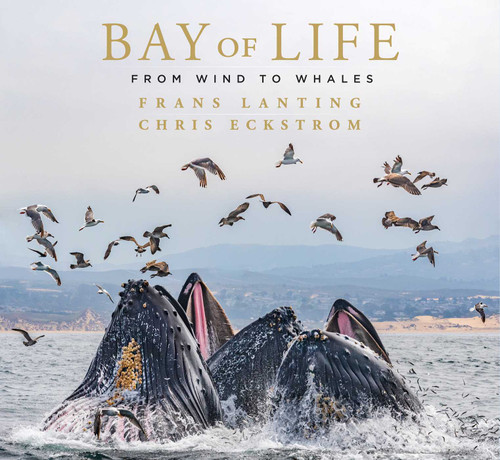Bay of Life: From Wind to Whales book cover by Frans Lanting, Chris Eckstrom