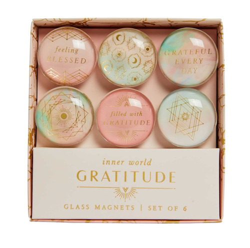 Gratitude: Glass Magnet Set (Set of 6) (Inner World) book cover by Insights
