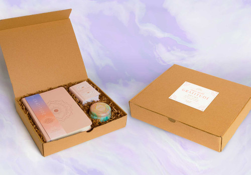 Gratitude Boxed Gift Set (Inner World) book cover by Insight Editions