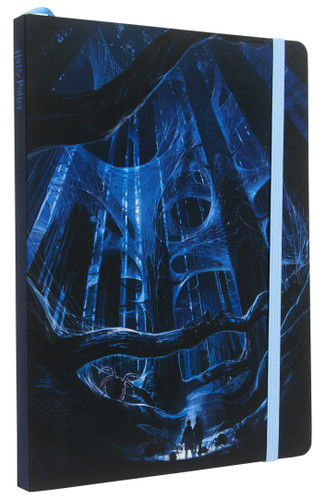 Harry Potter: Aragog Softcover Notebook (Harry Potter) book cover by Insight Editions