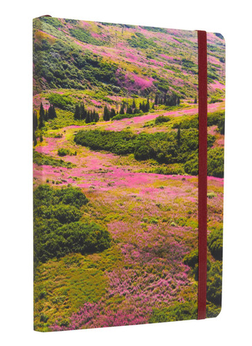 Refuge: Purple Fireweed Softcover Notebook: Kenai National Wildlife Refuge (Gifts for Outdoor Enthusiasts and Nature Lovers, Journals for Hikers, National Parks) book cover by Insights