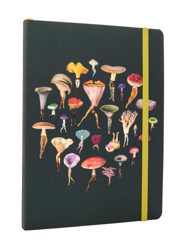 Art of Nature: Fungi Softcover Notebook: (Gifts for Mushroom Enthusiasts and Nature Lovers, Nature Journal, Nature Notebook, Journals for Hikers) (Fantastic Fungi) book cover by Insights