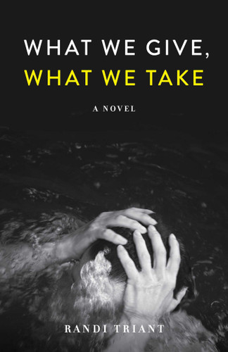 What We Give, What We Take: A Novel book cover by Randi Triant