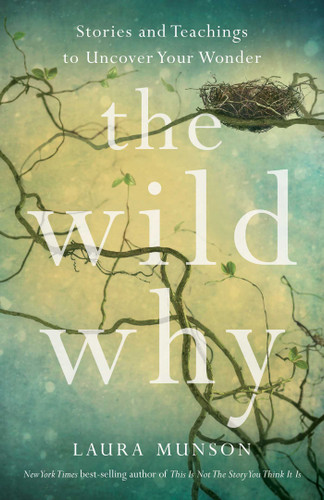 The Wild Why: Stories and Teachings to Uncover Your Wonder book cover by Laura Munson