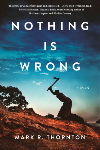 Nothing Is Wrong: A Novel book cover by Mark R. Thornton