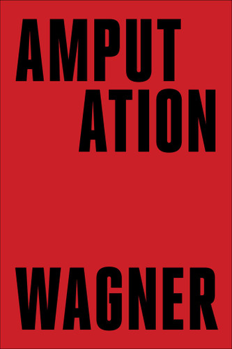 Amputation: A Novel book cover by Bruce Wagner