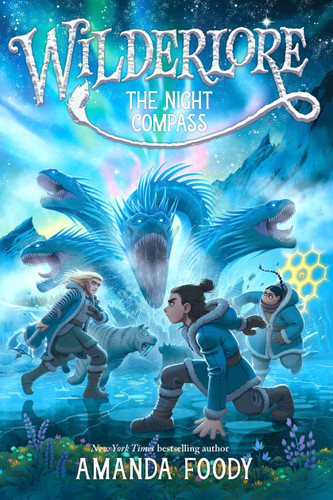 The Night Compass (Wilderlore) book cover by Amanda Foody