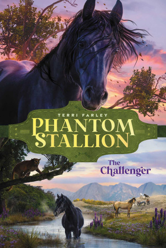 The Challenger (Phantom Stallion) book cover by Terri Farley