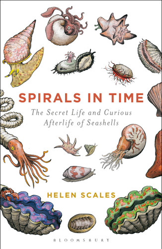 Spirals in Time: The Secret Life and Curious Afterlife of Seashells book cover by Helen Scales