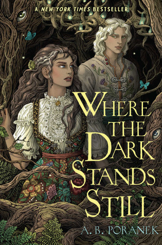 Where the Dark Stands Still book cover by A. B. Poranek