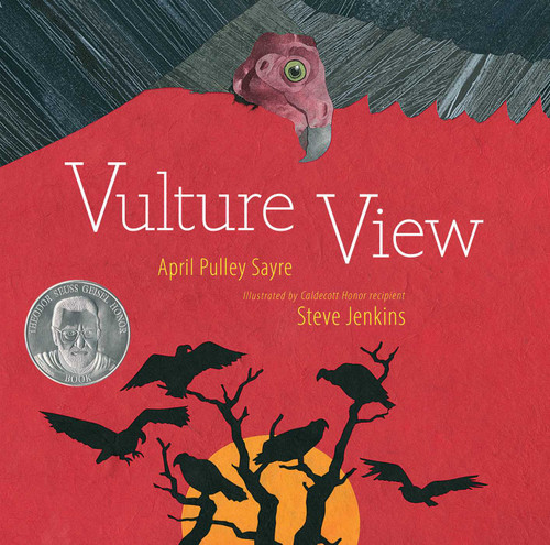 Vulture View book cover by April Pulley Sayre