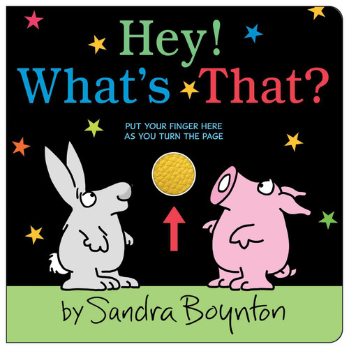 Hey! What's That? book cover by Sandra Boynton