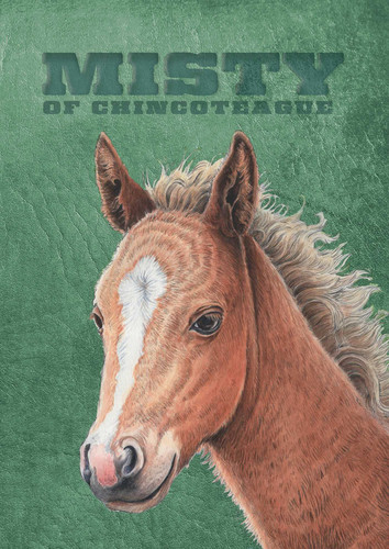 Misty of Chincoteague: Special Edition book cover by Marguerite Henry