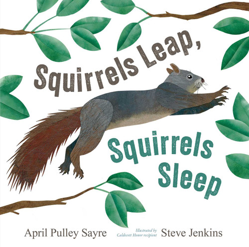Squirrels Leap, Squirrels Sleep book cover by April Pulley Sayre