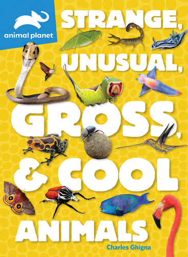 Animal Planet: Strange, Unusual, Gross, & Cool Animals book cover by Charles Ghigna
