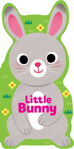 Little Bunny (Little Shaped Board Books) book cover by Maggie Fischer
