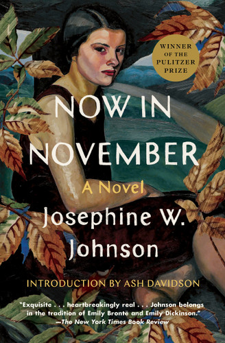 Now in November: A Novel book cover by Josephine Johnson