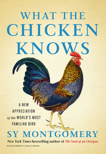 What the Chicken Knows: A New Appreciation of the World's Most Familiar Bird book cover by Sy Montgomery