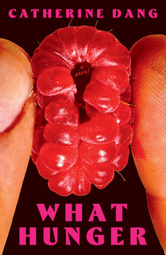 What Hunger: A Novel book cover by Catherine Dang