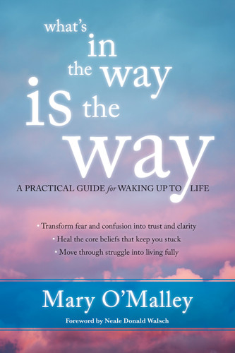 What's in the Way Is the Way: A Practical Guide for Waking Up to Life book cover by Mary O'Malley