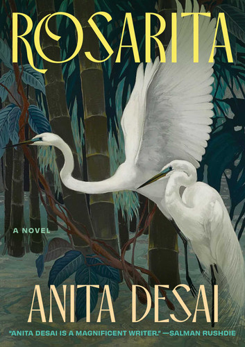 Rosarita book cover by Anita Desai