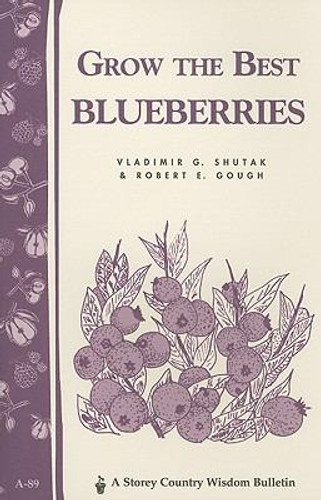 Grow the Best Blueberries Cover