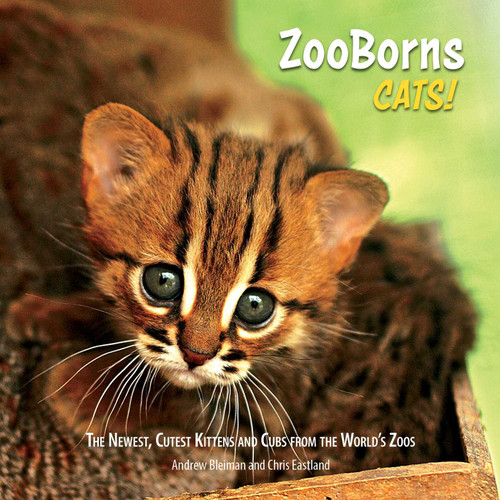 ZooBorns Cats!: The Newest, Cutest Kittens and Cubs from the World's Zoos (ZooBorns) book cover by Andrew Bleiman, Chris Eastland