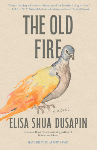 The Old Fire: A Novel book cover by Elisa Shua Dusapin
