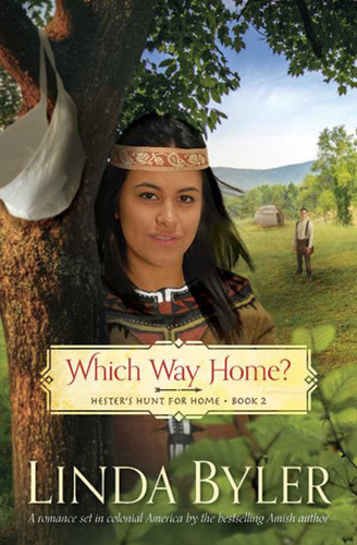 Which Way Home?: Hester's Hunt for Home, Book Two book cover by Linda Byler
