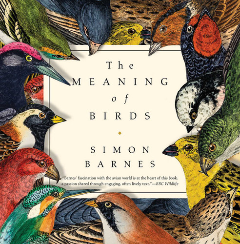 The Meaning of Birds book cover by Simon Barnes