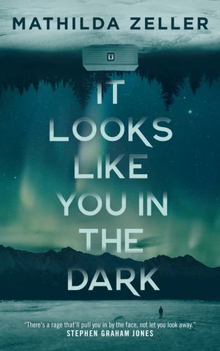 It Looks Like You in the Dark book cover by Mathilda Zeller