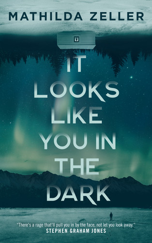 It Looks Like You in the Dark (Kobuk Valley Series) book cover by Mathilda Zeller